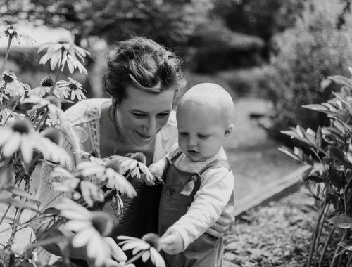 Disability Insurance