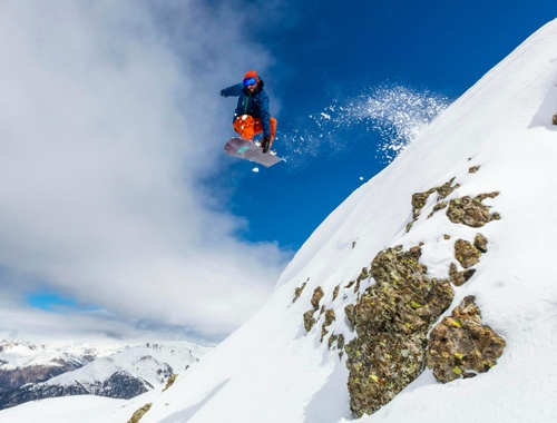 Risk Management