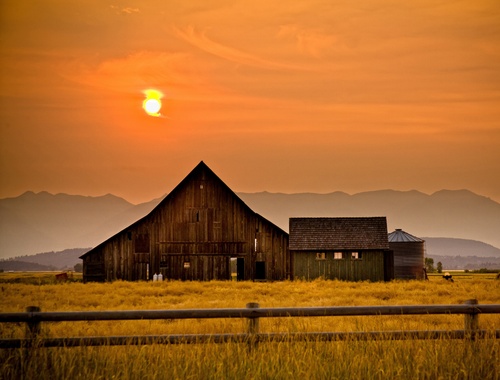 Your Lifelong Financial Partner