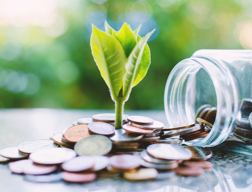 Retirement Income Planning