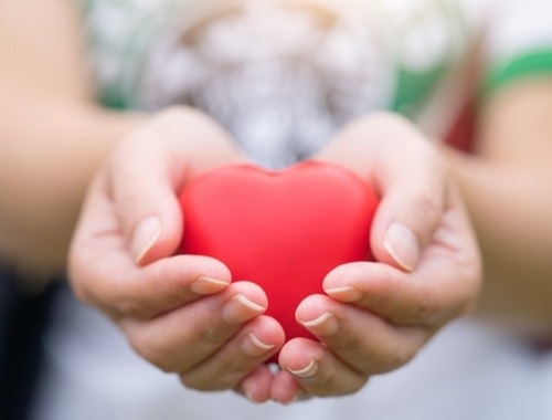Charitable Giving/ Legacy Planning