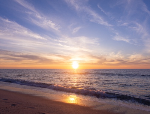 new jersey