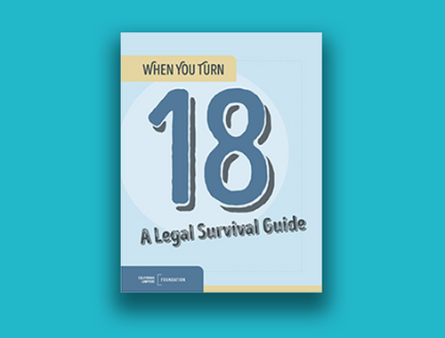 When You Turn 18 - A Legal Survival Guide