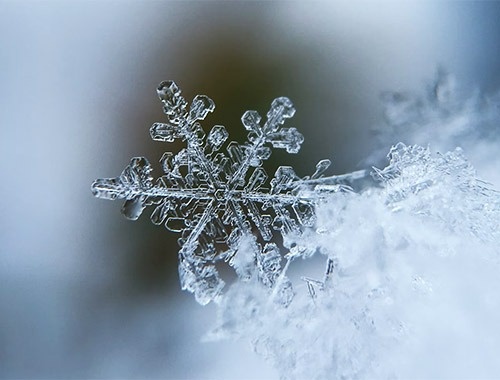 WINTER 2025