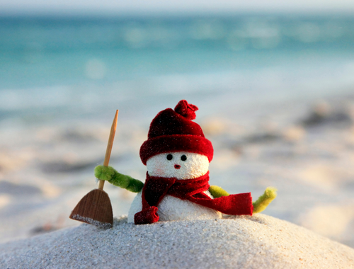 Financial Planning for Connecticut Snowbirds: What to Know Before You Fly South