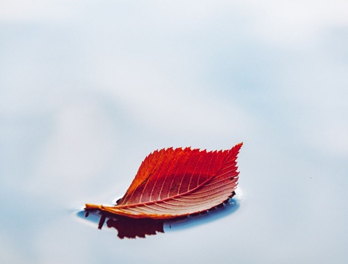 Don't Risk Your Retirement Security