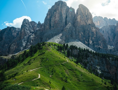 What We Take Off Your Plate