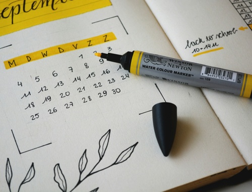 Plan Implementation