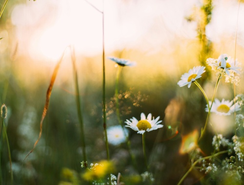 April Newsletter | First Quarter is In The Books