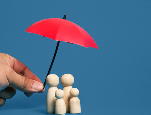 Protecting Your Future Through Smart Risk Management<br/>