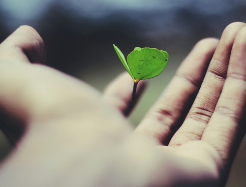 Safeguarding Your Family and Business