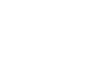 Work-Optional Lifestyle