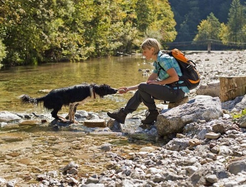 woman-hiking-with-dog