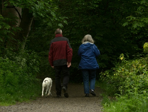 Individual Retirement Account