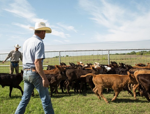 Ranchers & Farmers: Safeguard the Business You Cherish