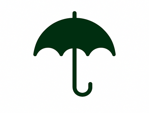 Life Insurance