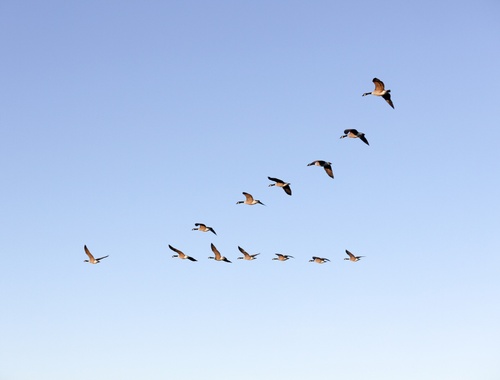 What is “Wealth Well Planned?”