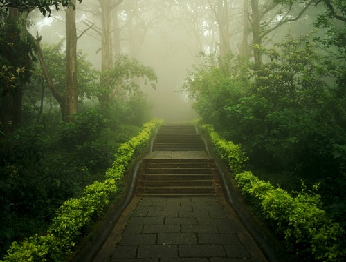 Our Philosophy: Clarity, Confidence, and ConsistencyClient Centered