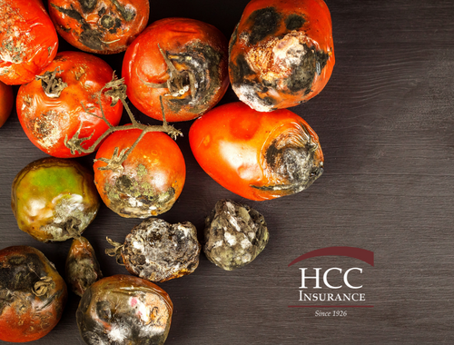 Protecting Your Restaurant from Food Spoilage and Equipment Breakdown