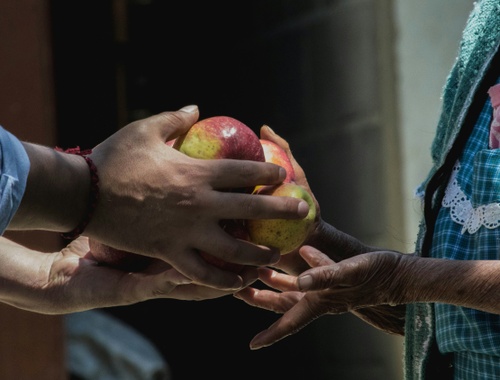 Aligning Generosity with Purpose<br/>