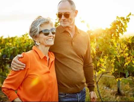 Work Through Our Process to Create a Plan