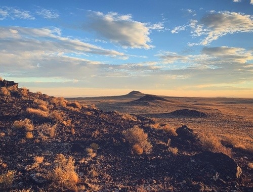 new mexico