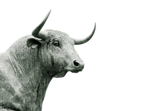 A Portfolio Built Around You
