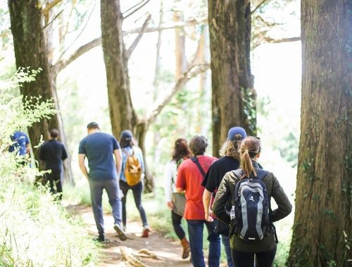 Independence Without Isolation