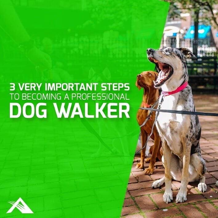 Professional Dog Walker