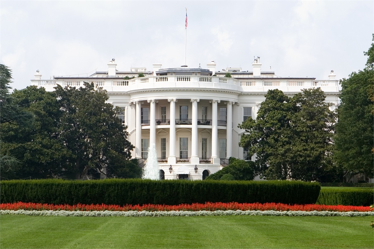 Election 2020