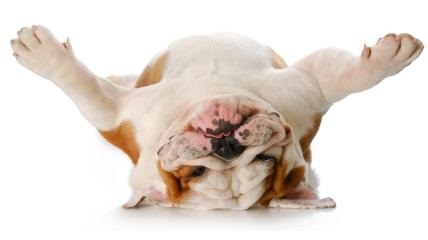 What To Do With Old Retirement Accounts?