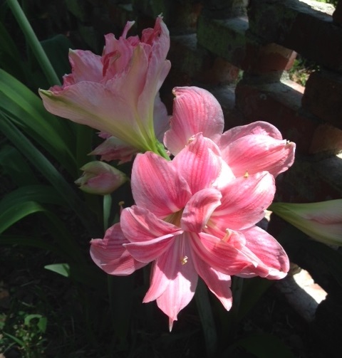 Your 401(k) needs TLC too!