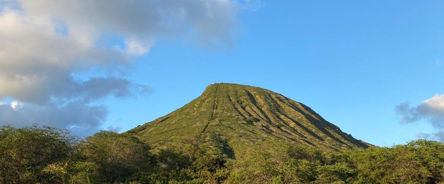 Smart Assets of Hawaii photo 1 in Honolulu