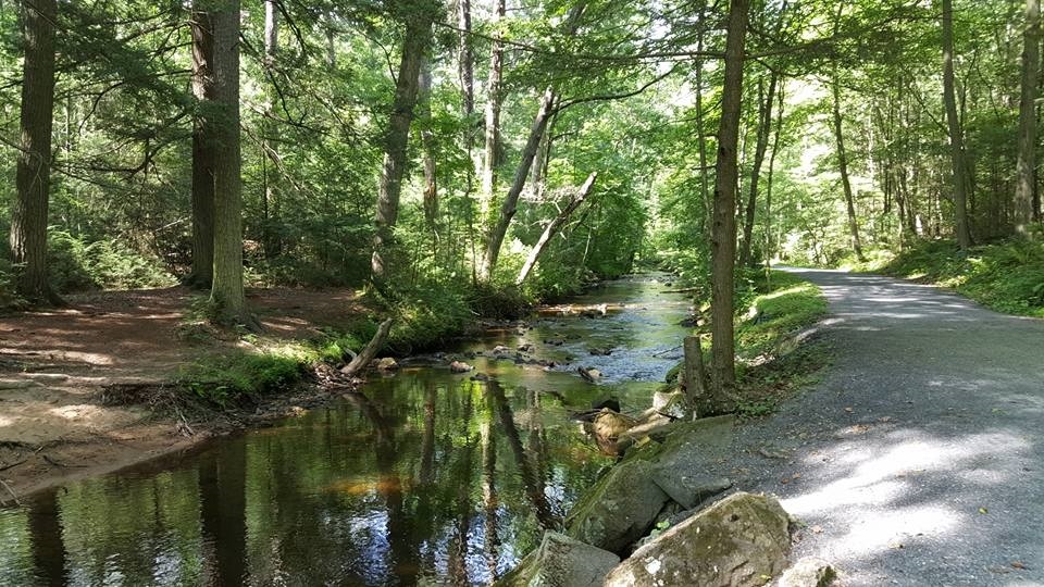 Hiking in Pine Grove Furnace State Park