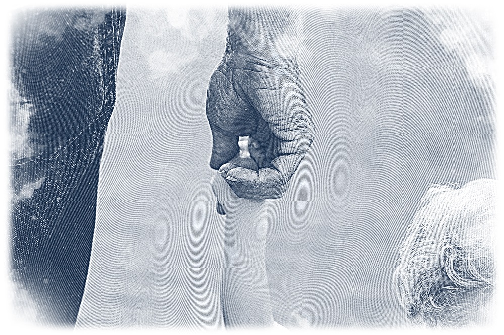 Estate Planning & Asset Protection Strategies