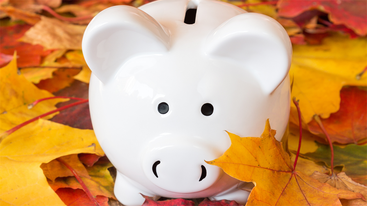 Financial Planning tips for Fall