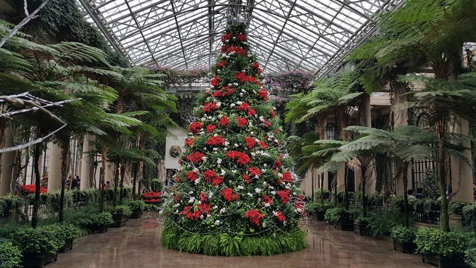 Getting in the Holiday Spirit