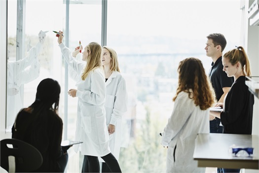 Customized Financial Planning