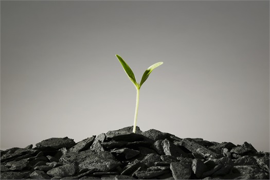 We recommend <b>Tax Saving Strategies</b> that help you...