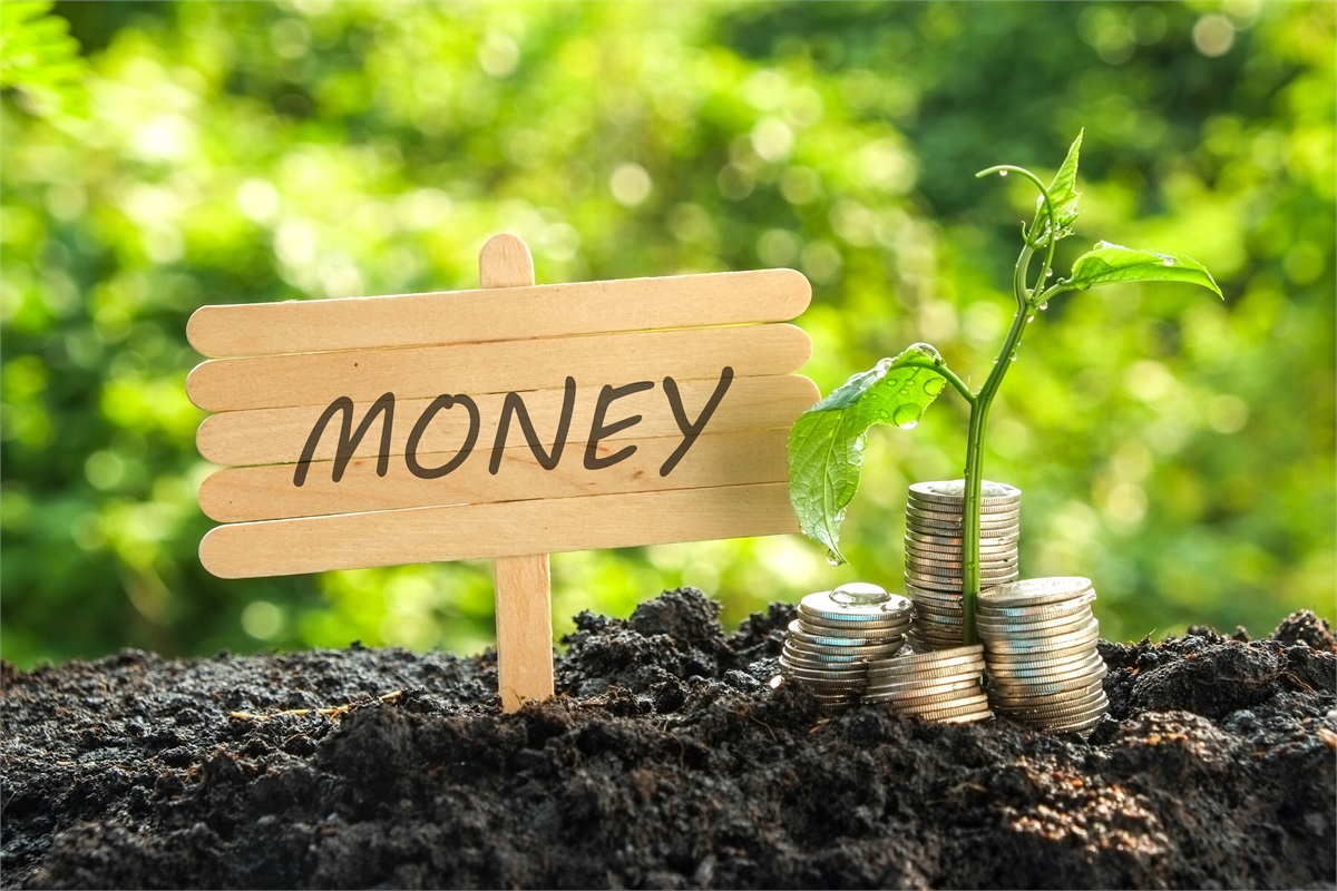 End-of-the-Year Money Moves