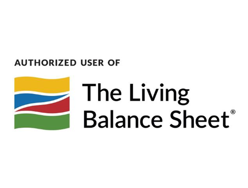 Living Balance Sheet

