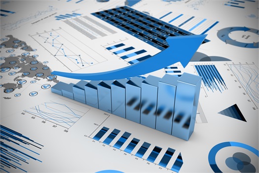 Stock Information