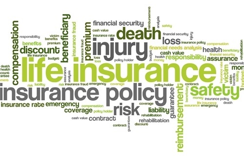 Ongoing Risk Exposure Analysis and Insurance Plan Review