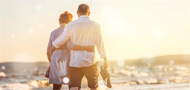 Lifelong Guidance