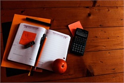 Estimating Your Social Security