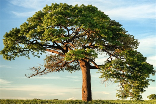 Socially Responsible Investing