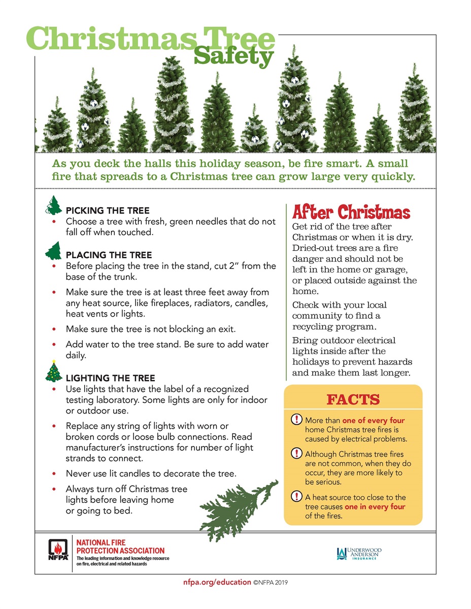 Christmas Tree Safety