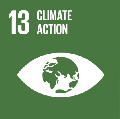 UN Sustainable Development Goals #13: Climate Action