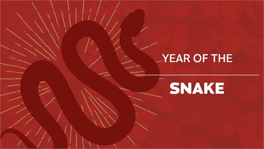 Happy Year of the Snake