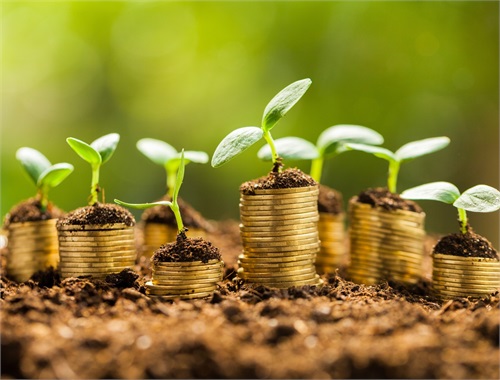 Segment #3: Long-Term Growth